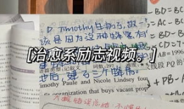 学习励志视频,从励志视频汲取的力量与智慧